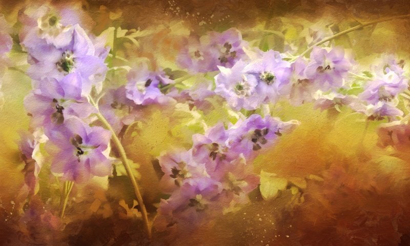 Обои цветы, сиреневый, дельфиниум, flowers, lilac, delphinium разрешение 4000x2148 Загрузить