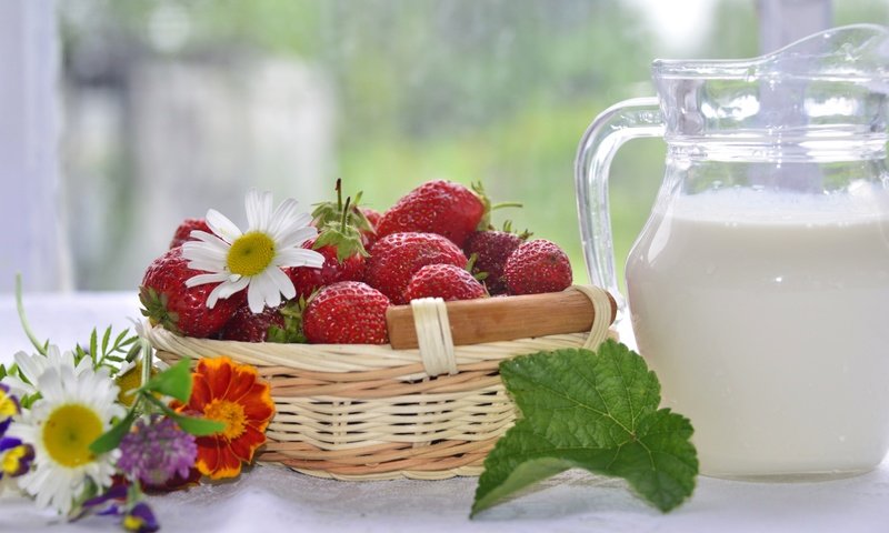 Обои цветы, клубника, ромашки, ягоды, молоко, flowers, strawberry, chamomile, berries, milk разрешение 3000x1919 Загрузить