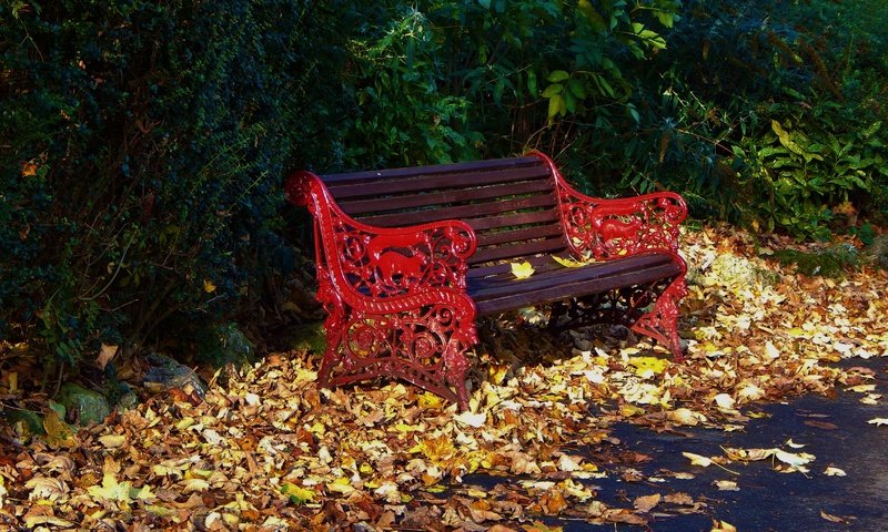 Обои парк, листва, осень, скамейка, листопад, опадают, осен,  листья, park, foliage, autumn, bench, falling leaves, fall, leaves разрешение 4608x3456 Загрузить