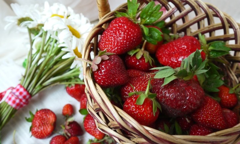 Обои клубника, ромашки, букет, корзина, ягоды, strawberry, chamomile, bouquet, basket, berries разрешение 2400x1571 Загрузить