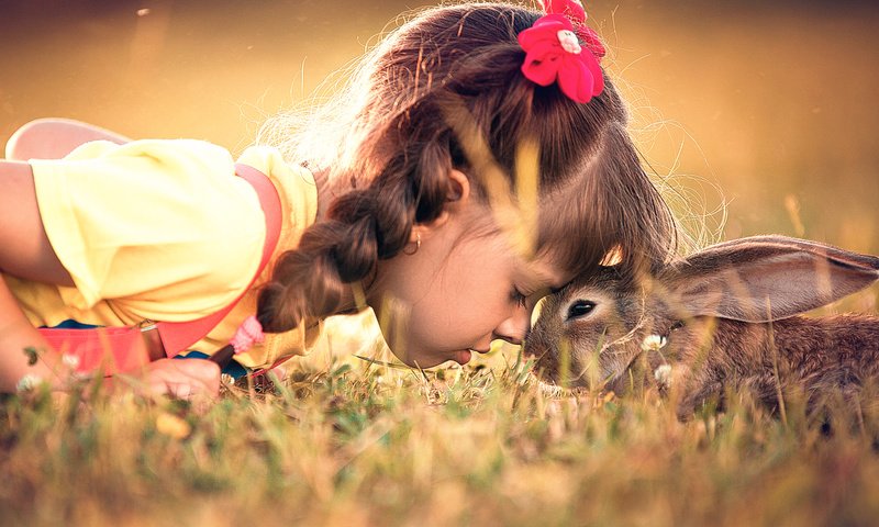 Обои трава, девочка, ребенок, кролик, животное, дружба, заяц, grass, girl, child, rabbit, animal, friendship, hare разрешение 2000x1125 Загрузить