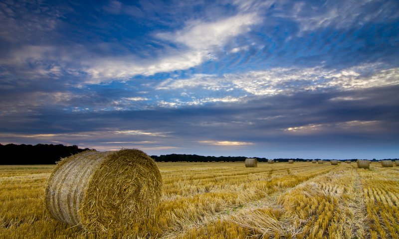 Обои небо, синее, облака, солома, вечер, тюки, тучи, поле, графство, сено, норфолк, великобритания, англия, урожай, harvest, the sky, blue, clouds, straw, the evening, bales, field, county, hay, norfolk, uk, england разрешение 2048x1365 Загрузить