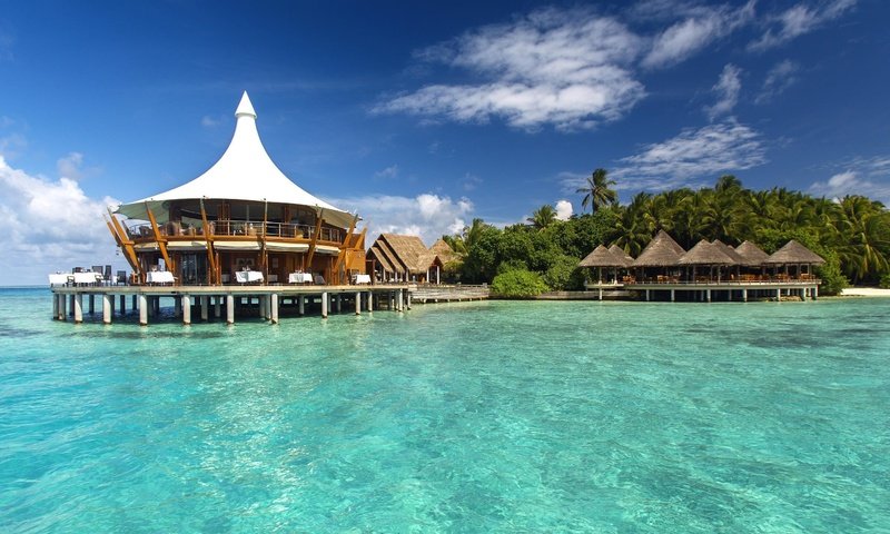 Обои пальмы, океан, экзотика, отель, мальдивы, fantastic maldives, palm trees, the ocean, exotic, the hotel, the maldives, magnificent maldives разрешение 2617x1960 Загрузить