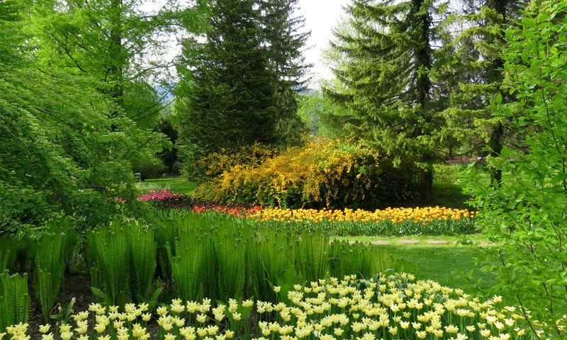 Обои цветы, трава, деревья, зелень, парк, словения, mozirski gaj, flowers, grass, trees, greens, park, slovenia разрешение 3000x2250 Загрузить