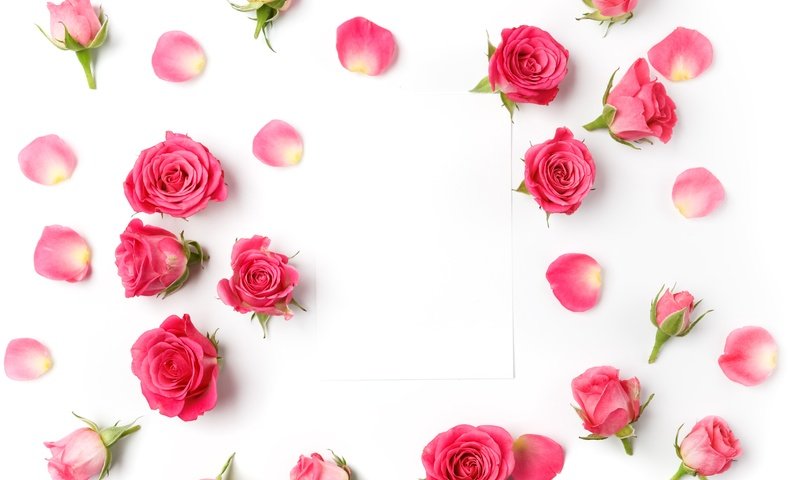 Обои бутоны, розы, романтик,  цветы, роз, пинк, buds, roses, romantic, flowers, pink разрешение 4990x3744 Загрузить