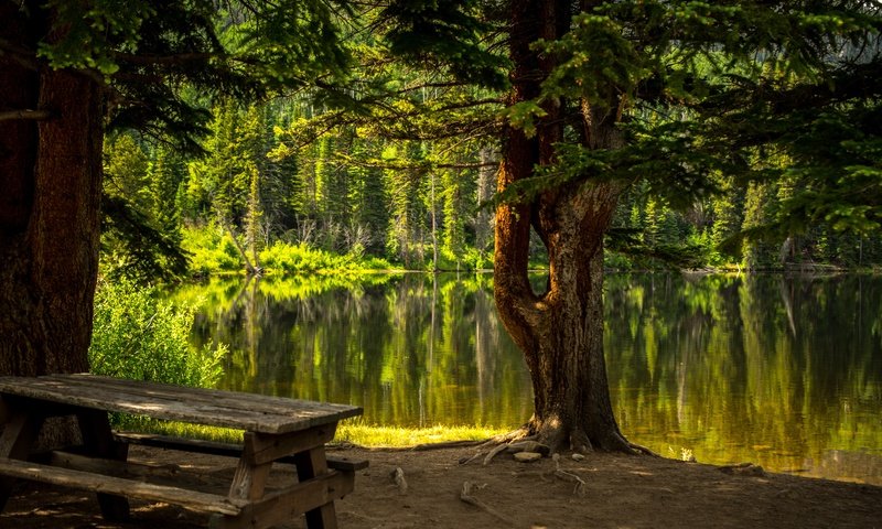 Обои деревья, вода, озеро, природа, лес, стол, скамейка, trees, water, lake, nature, forest, table, bench разрешение 6016x4016 Загрузить