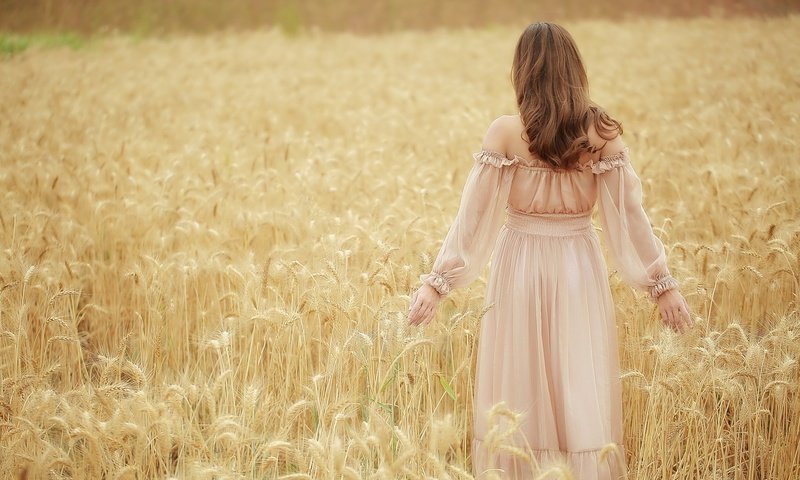 Обои девушка, платье, поле, колосья, пшеница, волосы, girl, dress, field, ears, wheat, hair разрешение 2048x1365 Загрузить