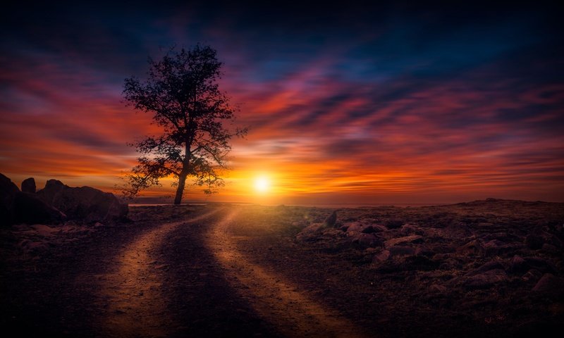 Обои небо, дорога, солнце, природа, дерево, закат, the sky, road, the sun, nature, tree, sunset разрешение 7059x4206 Загрузить