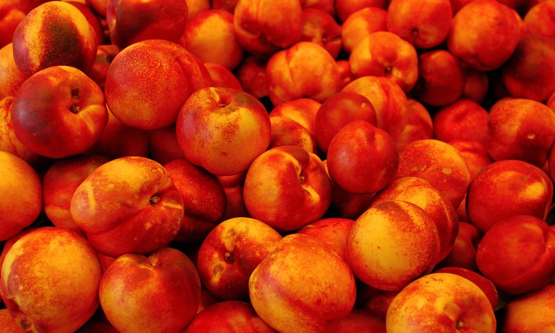 Обои фрукты, нектарин, нектарины, fruit, nectarine, nectarines разрешение 2560x1600 Загрузить