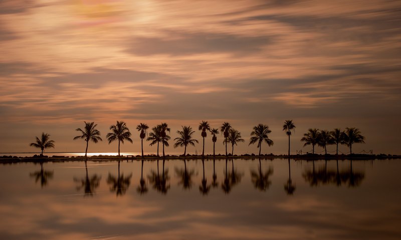 Обои вечер, закат, отражение, пальмы, океан, гладь, флорида, майами, the evening, sunset, reflection, palm trees, the ocean, surface, fl, miami разрешение 2560x1594 Загрузить