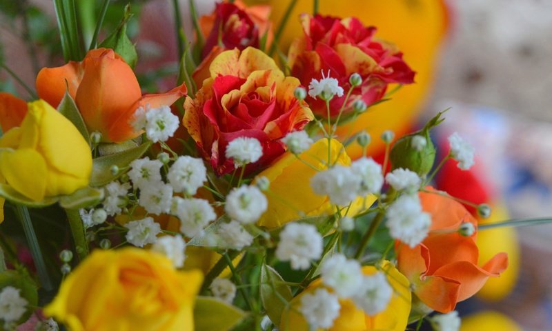 Обои цветы, розы, букет, гипсофила, гипсофила., flowers, roses, bouquet, gypsophila, gypsophila. разрешение 3000x1883 Загрузить