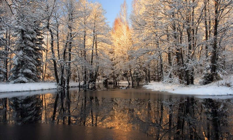 Обои деревья, река, снег, лес, зима, отражение, лёд, trees, river, snow, forest, winter, reflection, ice разрешение 2560x1600 Загрузить