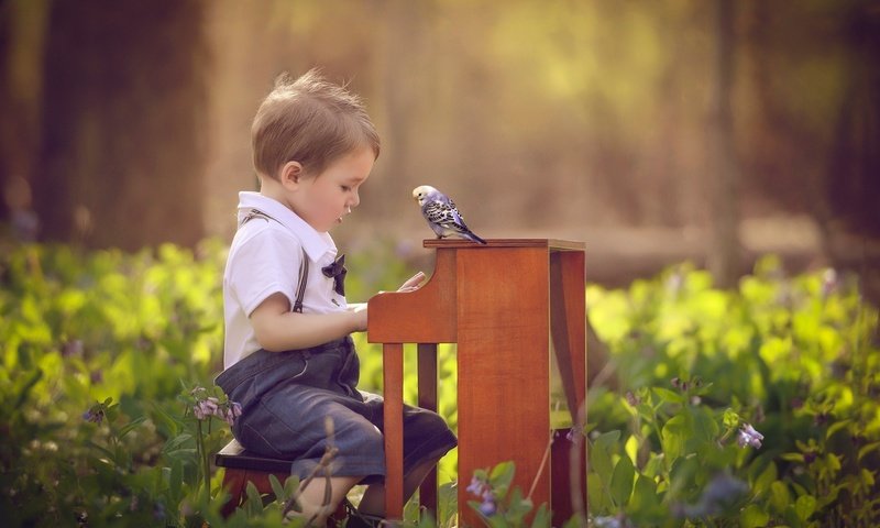 Обои цветы, природа, ребенок, мальчик, малыш, пианино, птичка, попугай, flowers, nature, child, boy, baby, piano, bird, parrot разрешение 2048x1495 Загрузить