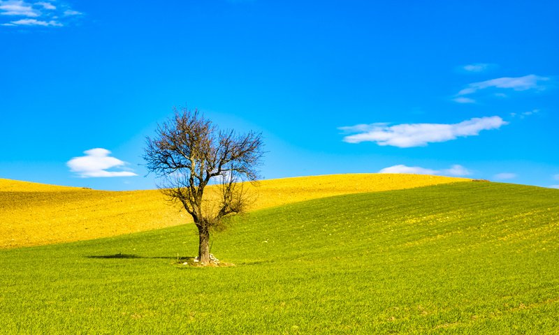 Обои небо, облака, холмы, природа, дерево, поле, италия, the sky, clouds, hills, nature, tree, field, italy разрешение 2048x1365 Загрузить