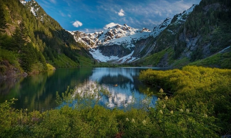 Обои трава, вечер, озеро, горы, снег, природа, отражения, лето, grass, the evening, lake, mountains, snow, nature, reflection, summer разрешение 1920x1200 Загрузить