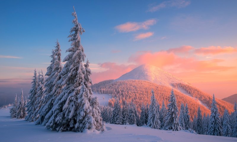 Обои деревья, горы, снег, закат, зима, сосны, карпаты, trees, mountains, snow, sunset, winter, pine, carpathians разрешение 4000x2670 Загрузить