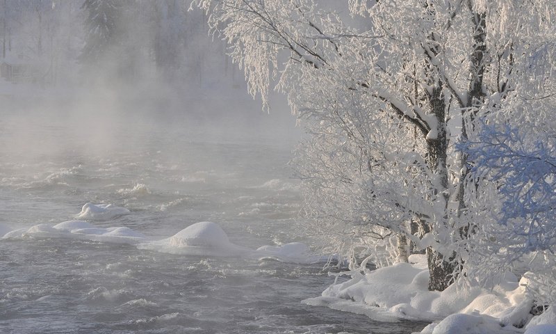 Обои река, снег, природа, дерево, лес, зима, ветки, иней, river, snow, nature, tree, forest, winter, branches, frost разрешение 1920x1200 Загрузить