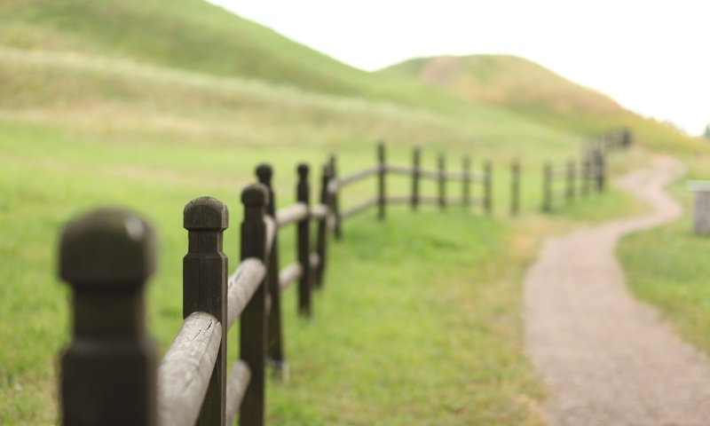 Обои трава, холмы, природа, пейзаж, поле, забор, тропинка, изгородь, grass, hills, nature, landscape, field, the fence, path, fence разрешение 4080x2720 Загрузить