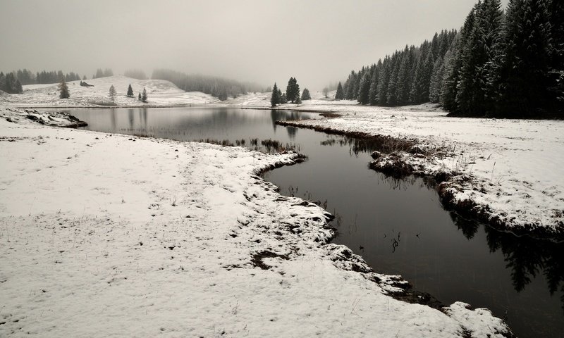 Обои небо, река, снег, природа, лес, зима,     деревья, the sky, river, snow, nature, forest, winter, trees разрешение 4287x2847 Загрузить