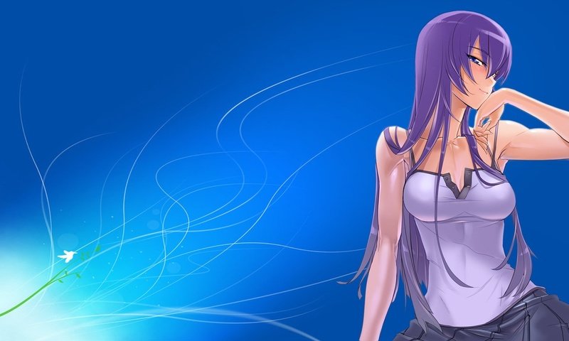 Обои девушка, аниме, волосы, highschool of the dead, busujima saeko, girl, anime, hair разрешение 1920x1080 Загрузить