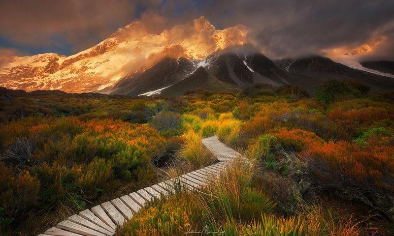 Обои трава, облака, горы, кусты, гора, тропа, grass, clouds, mountains, the bushes, mountain, trail разрешение 1920x1200 Загрузить