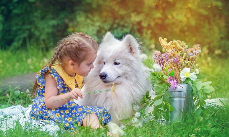 Обои цветы, трава, природа, собака, дети, девочка, животное, друзья, flowers, grass, nature, dog, children, girl, animal, friends разрешение 1920x1200 Загрузить