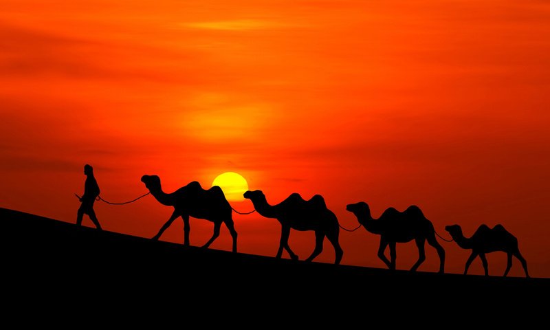 Обои солнце, закат, пустыня, человек, караван, верблюды, the sun, sunset, desert, people, caravan, camels разрешение 2160x1622 Загрузить