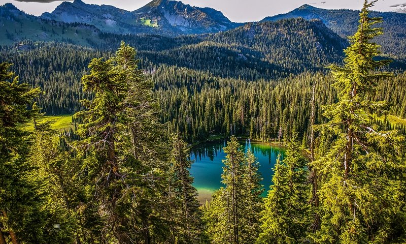 Обои деревья, озеро, горы, лес, канада, mt. rainier national park, trees, lake, mountains, forest, canada разрешение 3005x2000 Загрузить