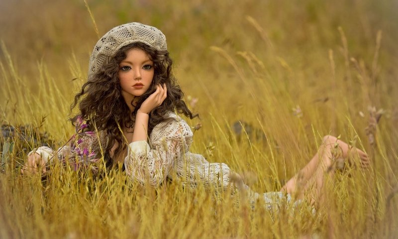 Обои трава, взгляд, игрушка, луг, кукла, волосы, лицо, grass, look, toy, meadow, doll, hair, face разрешение 2000x1333 Загрузить