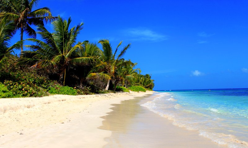 Обои море, пляж, тропики, sea, beach, tropics разрешение 4472x2496 Загрузить