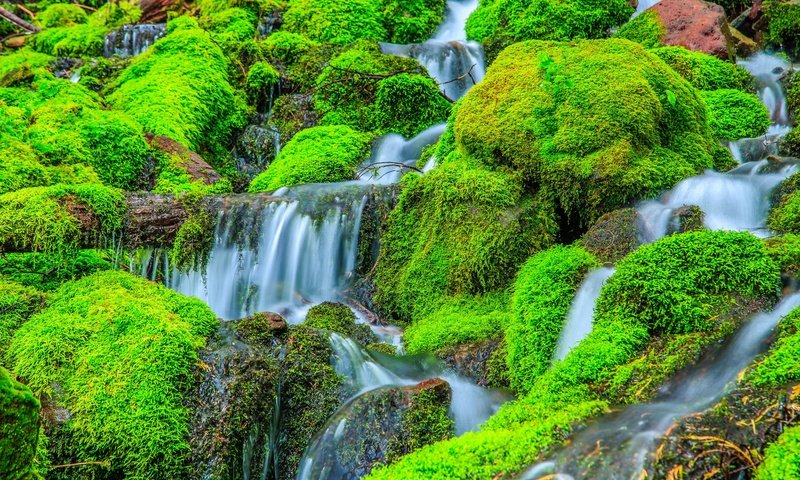 Обои скалы, камни, растения, водопад, поток, мох, rocks, stones, plants, waterfall, stream, moss разрешение 2048x1314 Загрузить