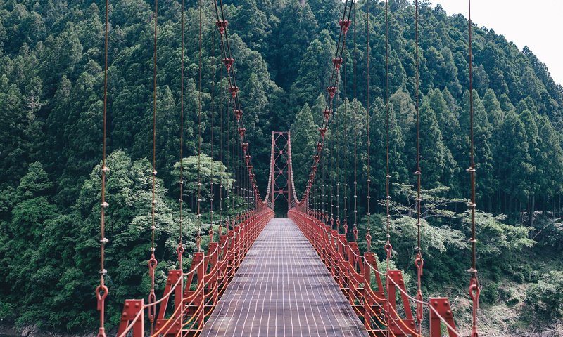 Обои деревья, природа, лес, пейзаж, мост, подвесной мост, trees, nature, forest, landscape, bridge, suspension bridge разрешение 1920x1200 Загрузить