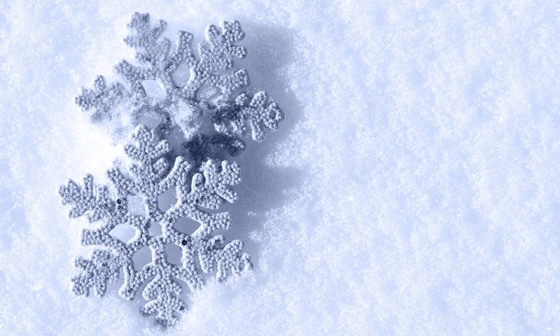 Обои снег, зима, макро, снежинки, snow, winter, macro, snowflakes разрешение 2880x1800 Загрузить