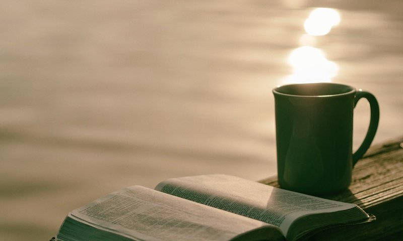 Обои кружка, чай, книга, чтение, mug, tea, book, reading разрешение 4608x3456 Загрузить