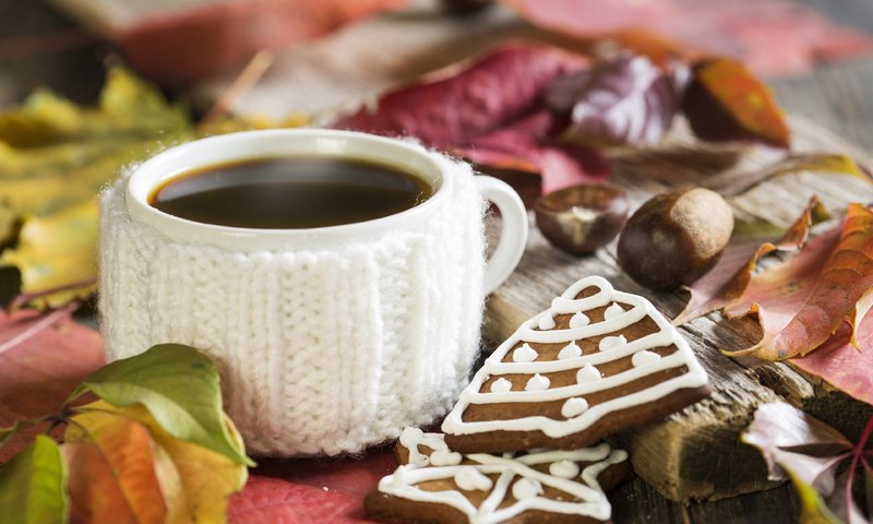 Обои кофе, кружка, печенье, coffee, mug, cookies разрешение 3840x2400 Загрузить