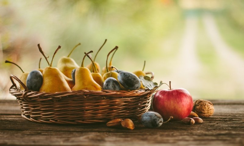 Обои орехи, фрукты, яблоки, груши, сливы, осенний урожай, nuts, fruit, apples, pear, plum, autumn harvest разрешение 1920x1200 Загрузить