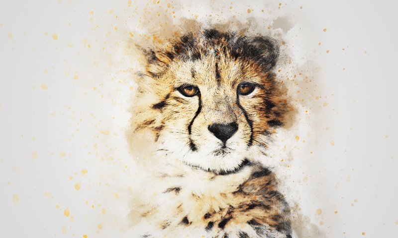 Обои морда, картина, взгляд, гепард, акварель, face, picture, look, cheetah, watercolor разрешение 3000x2000 Загрузить