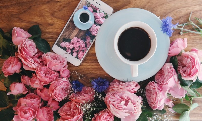 Обои цветы, розы, кофе, завтрак, flowers, roses, coffee, breakfast разрешение 5183x3402 Загрузить