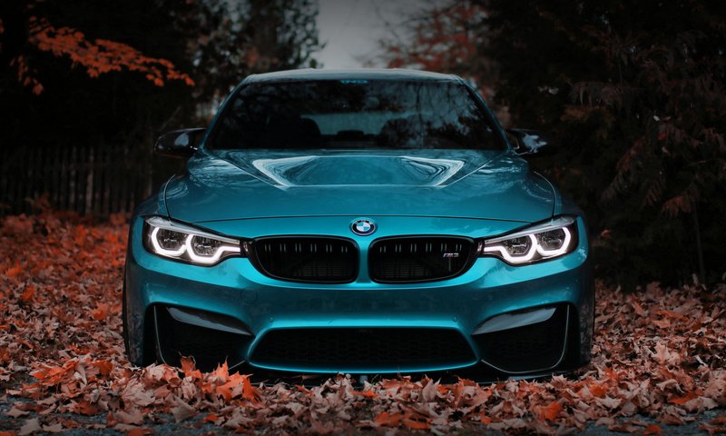 Обои листва, забор, авто, бмв, f80, foliage, the fence, auto, bmw разрешение 1920x1080 Загрузить