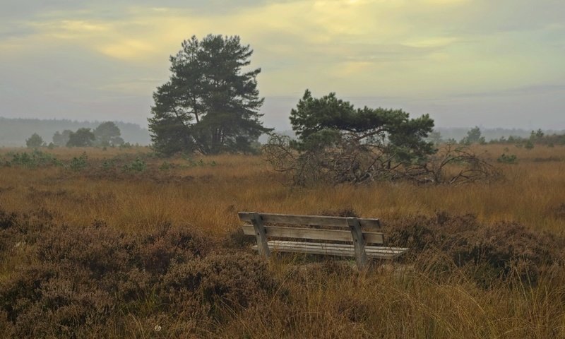 Обои поле, осень, скамья, field, autumn, bench разрешение 2047x1356 Загрузить