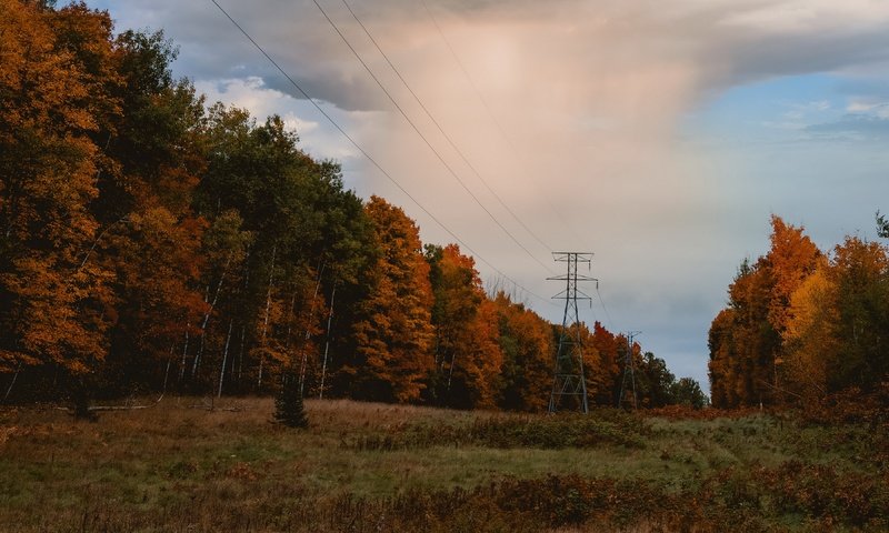Обои природа, осень, лэп, nature, autumn, power lines разрешение 3840x2160 Загрузить