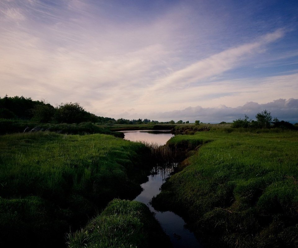 Обои трава, облака, ручей, grass, clouds, stream разрешение 1920x1200 Загрузить