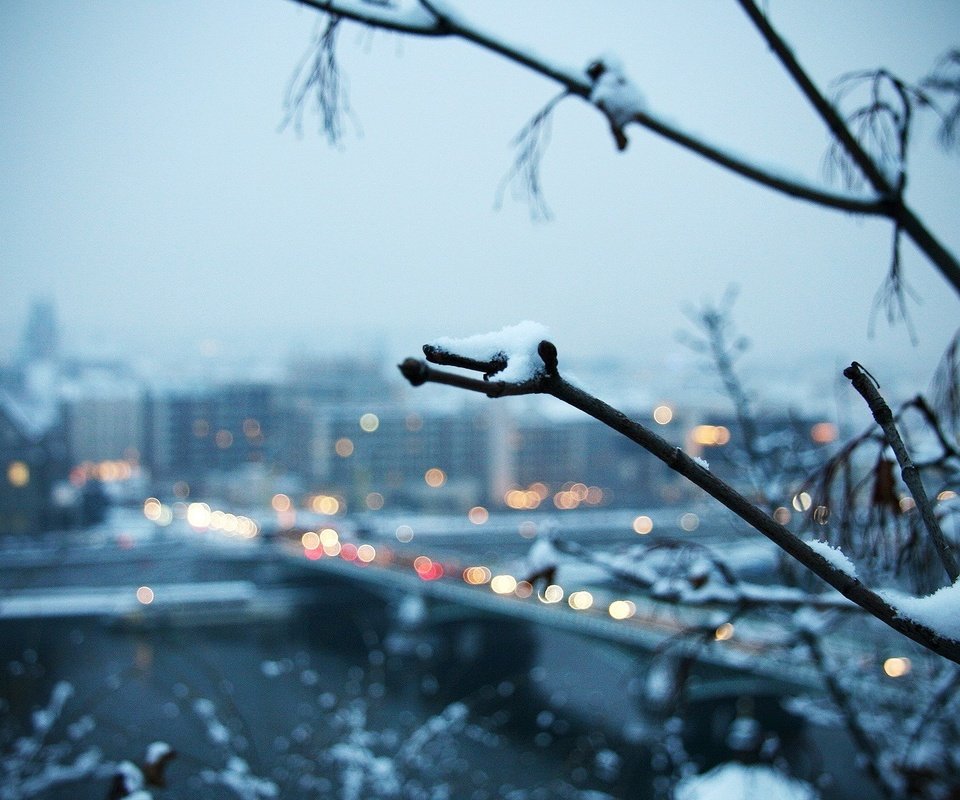 Обои ветка, снег, зима, город, branch, snow, winter, the city разрешение 1920x1200 Загрузить