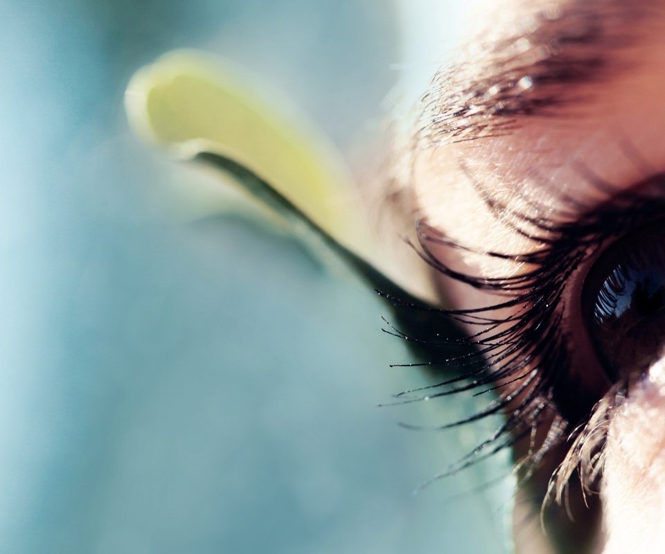 Обои макро, взгляд, глаз, ресницы, macro, look, eyes, eyelashes разрешение 2560x1517 Загрузить