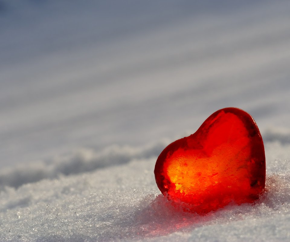 Обои снег, лёд, сердце, snow, ice, heart разрешение 2560x1600 Загрузить