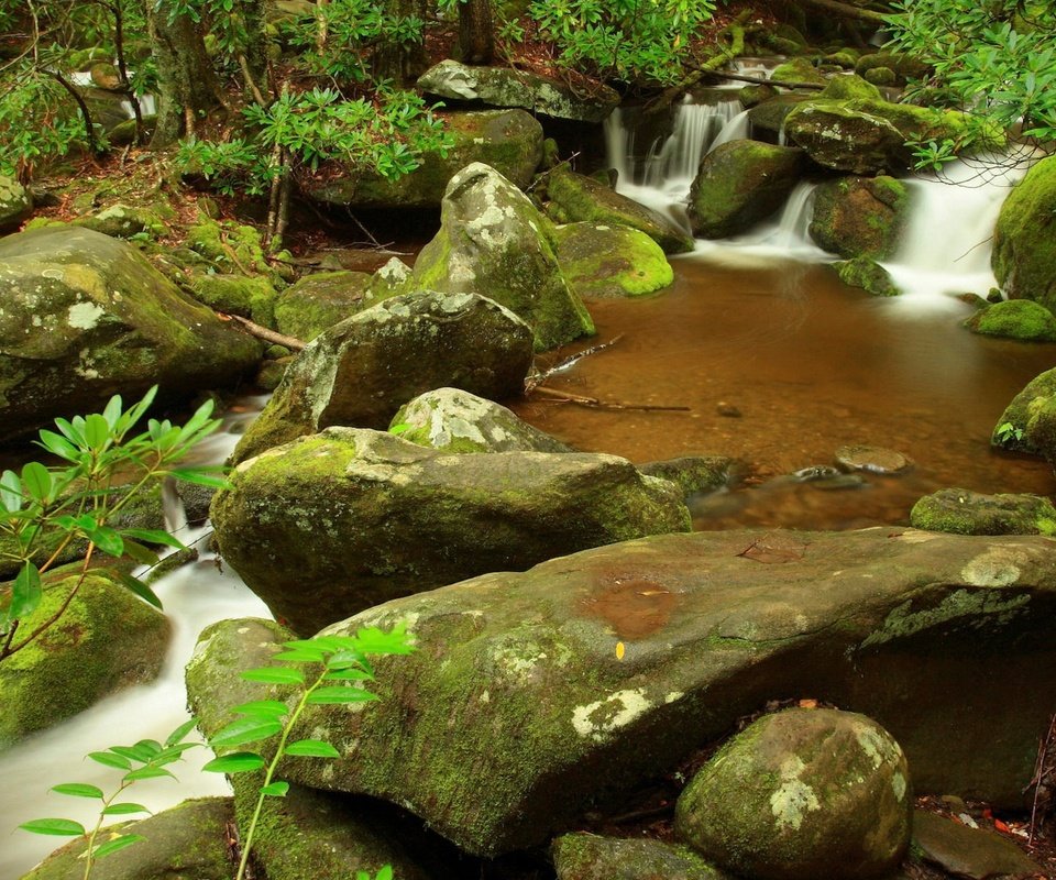 Обои камни, листья, ручей, водопад, stones, leaves, stream, waterfall разрешение 1920x1200 Загрузить