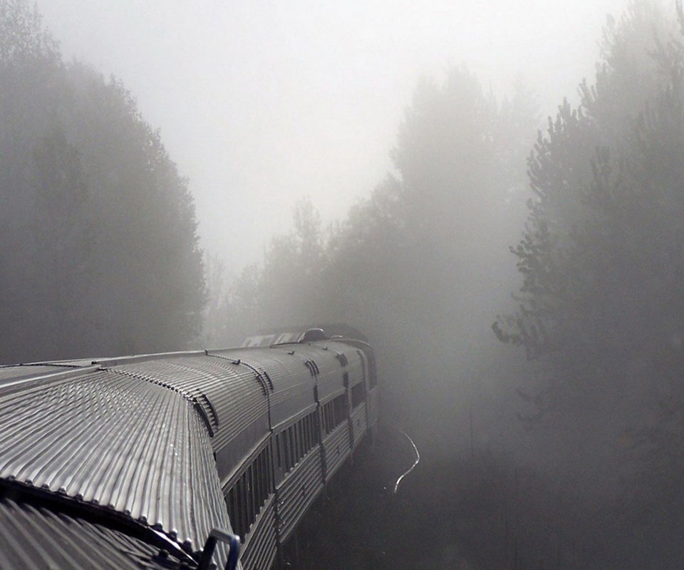 Обои туман, поезд, вагоны, fog, train, cars разрешение 1920x1200 Загрузить