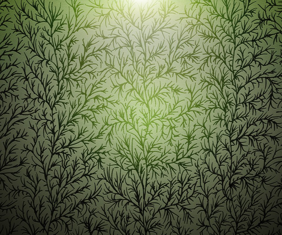 Обои растения, фон, ветки, plants, background, branches разрешение 1920x1200 Загрузить