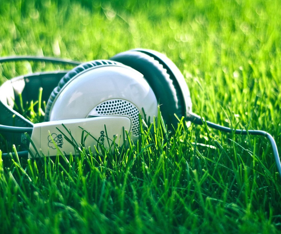 Обои природа, лето, музыка, наушники, травка, шнур, nature, summer, music, headphones, weed, cord разрешение 1920x1080 Загрузить