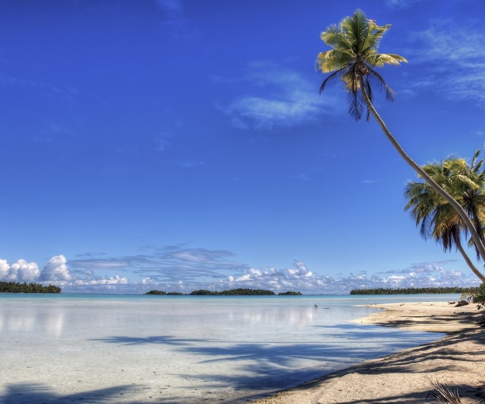 Обои берег, пляж, пальма, остров, рай, shore, beach, palma, island, paradise разрешение 1920x1200 Загрузить